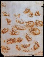 Haga click para ver la imagen ampliada estudios felinos un dragon y otros animales hacia 1513-1515.jpg